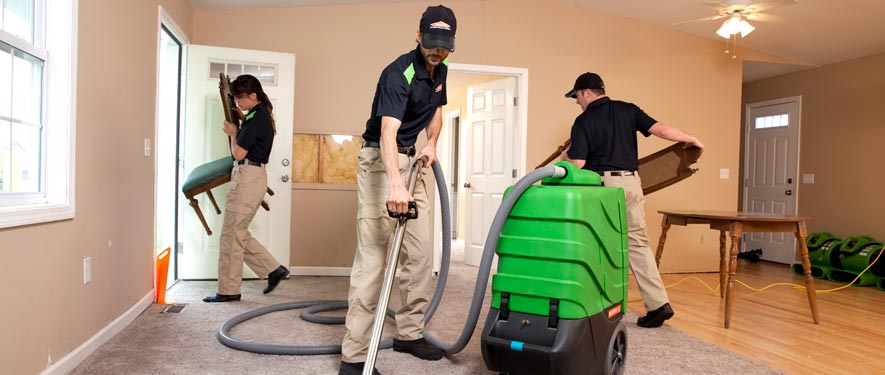 Laurel, MS cleaning services